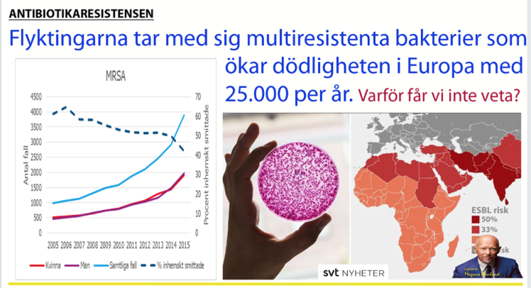 Fler svenska liv offras pga multiresistenta bakterier än pga den ökade kriminaliteten.